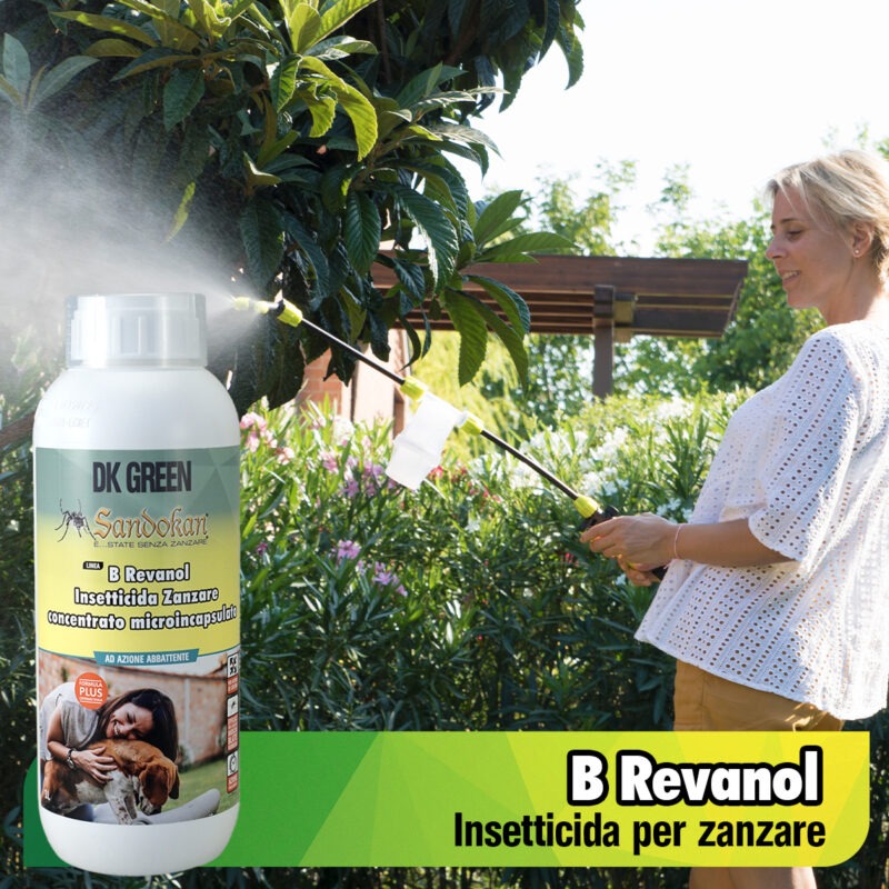 KIT Erogatore automatico con riduttore di pressione + B REVANOL 500ml - immagine 2