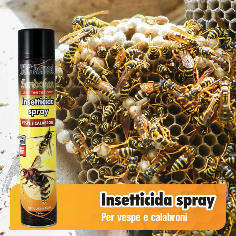 Spray insecticide for wasps and hornets, 750ml format - Image 2