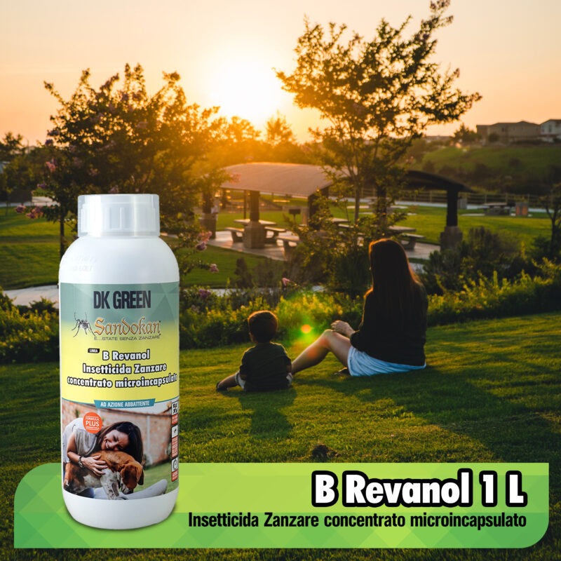 B REVANOL INSETTICIDA ADULTICIDA CONCENTRATO - immagine 3