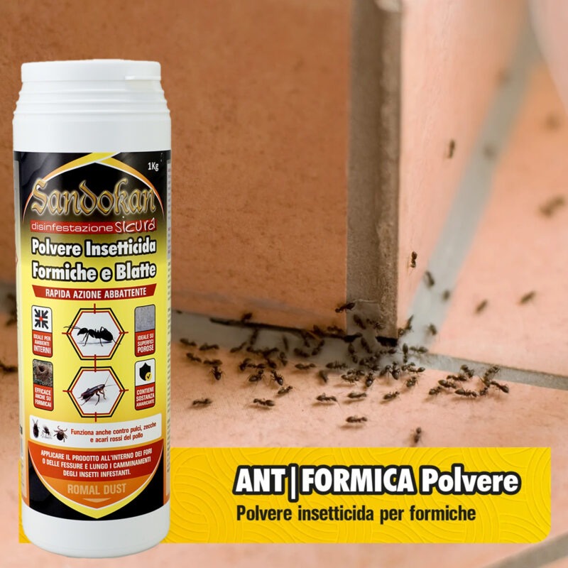 Polvere per formiche 1 Kg - Insetticida - immagine 2