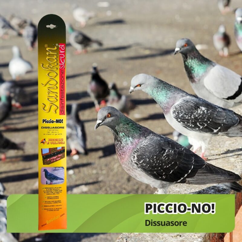 PIGEON DETERRENT ‘PICCIO-NO!’ - Image 3